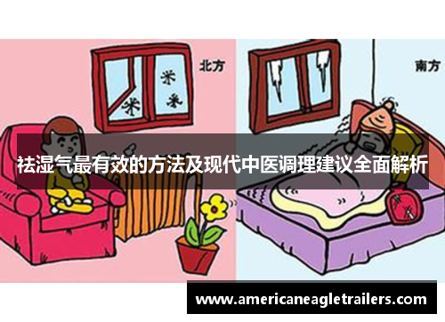 祛湿气最有效的方法及现代中医调理建议全面解析