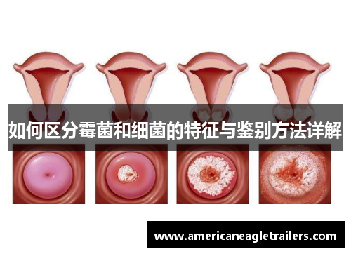 如何区分霉菌和细菌的特征与鉴别方法详解
