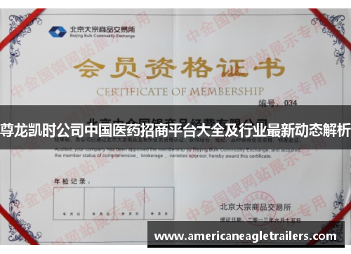 尊龙凯时公司中国医药招商平台大全及行业最新动态解析