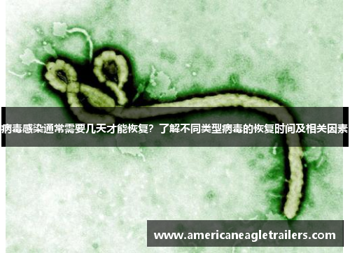 病毒感染通常需要几天才能恢复？了解不同类型病毒的恢复时间及相关因素